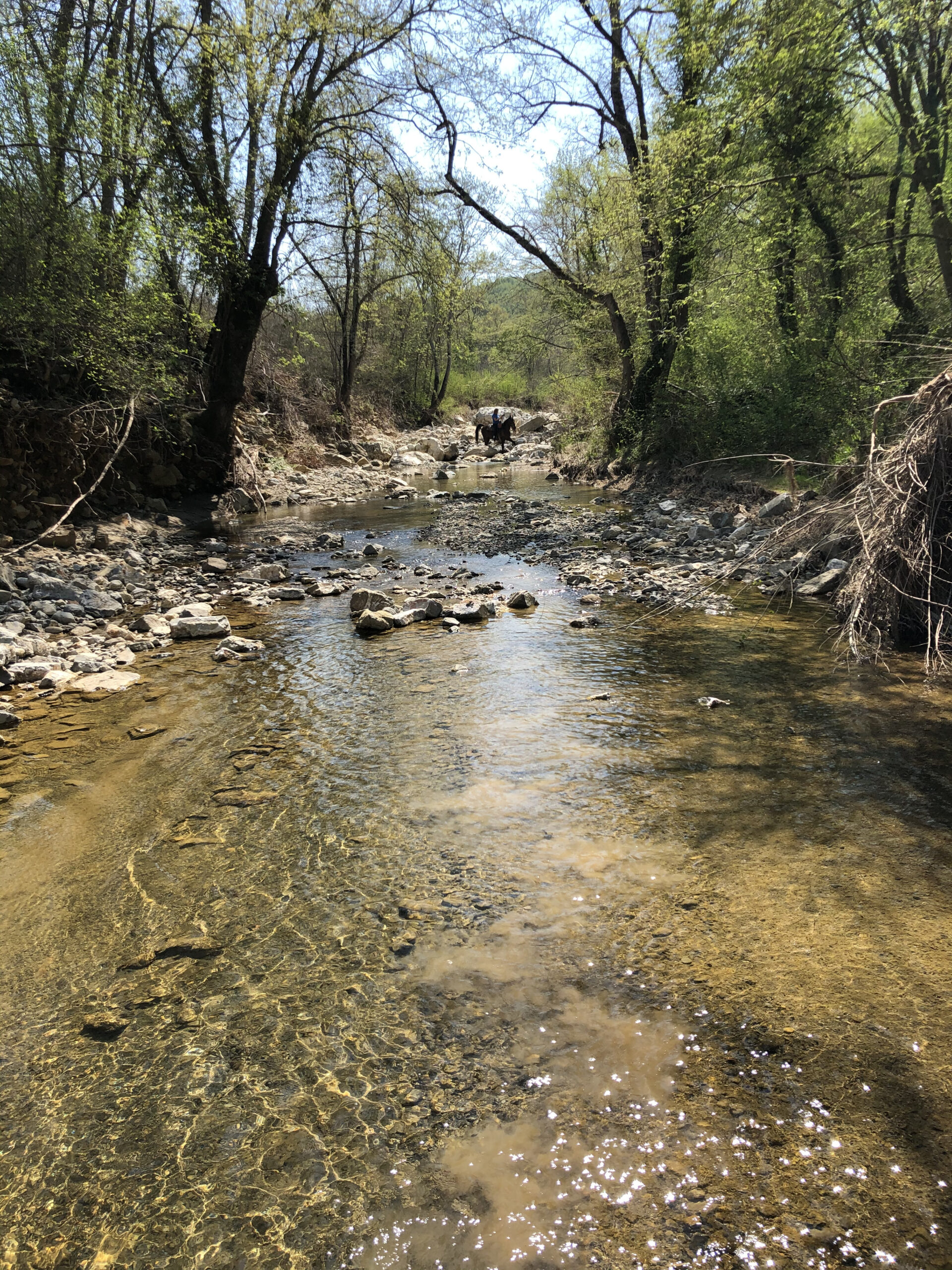 trip to the river